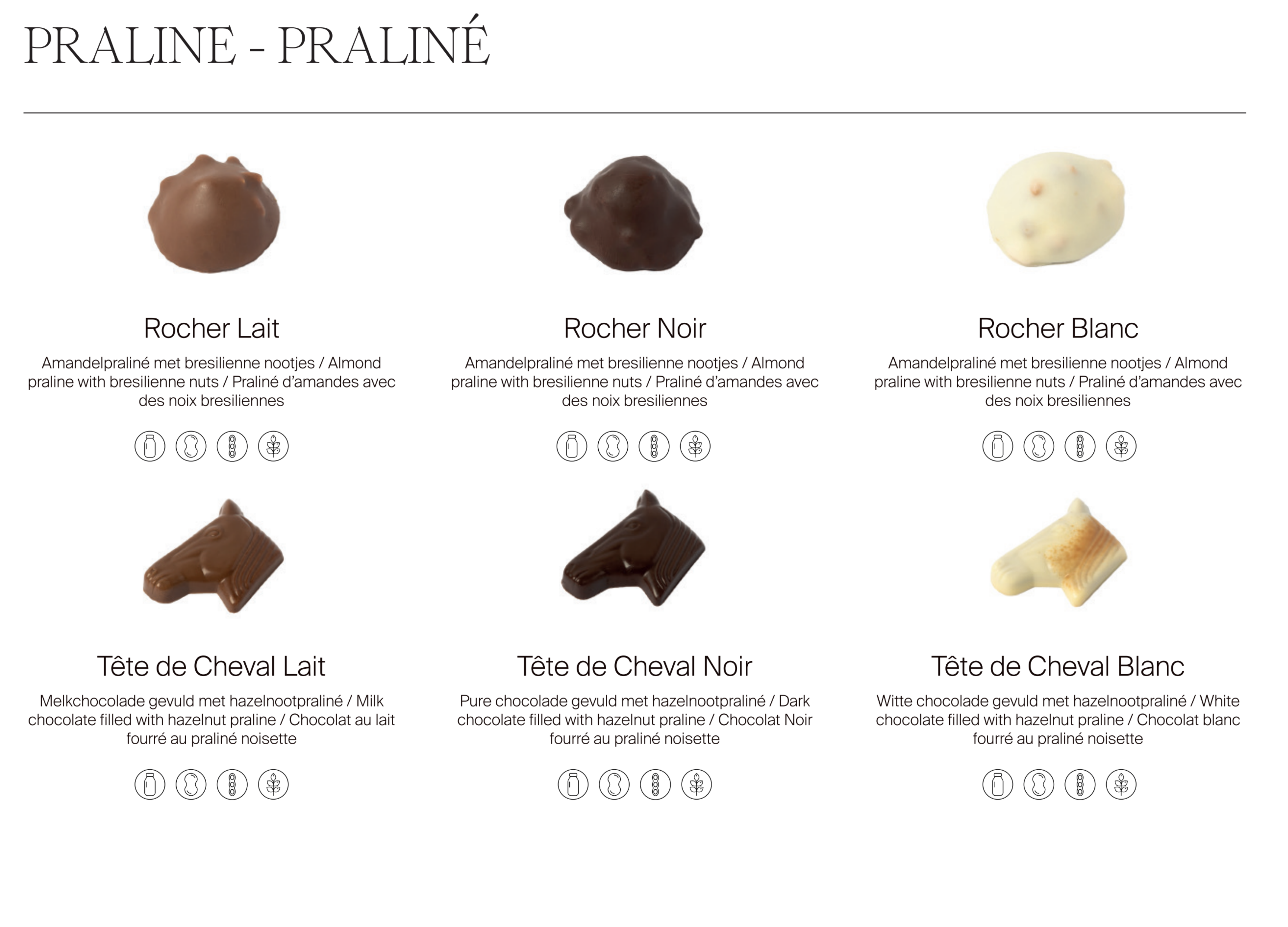 Chocolats belges Ballotin - Achat de pralines en ligne Flavor Shop