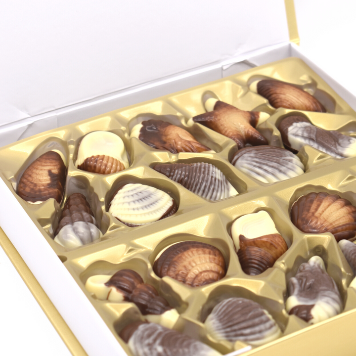 Coffret cadeau fruit de mer praliné magnet